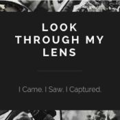 Look Through My Lens